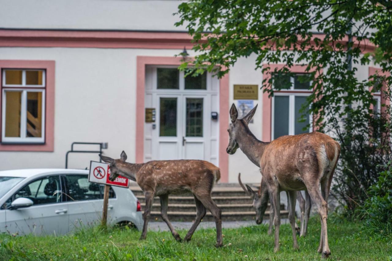 Tatrystay Apartmany Lomnica Tatranska Lomnica Luaran gambar
